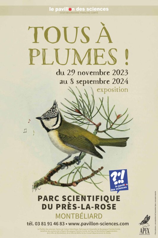 Tous à plumes ! L’incroyable légèreté des oiseaux