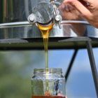 [COMPLET] 123 Nature atelier : Extraction de miel