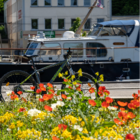 Balade musicale à vélo autour du Pays Montbéliard