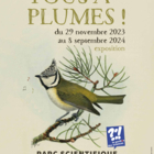 Tous à plumes ! L’incroyable légèreté des oiseaux