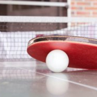 Club de ping pong