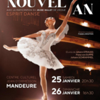 Concerts du Nouvel An
