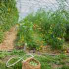 [COMPLET] 123 Nature visite : Les échos jardins